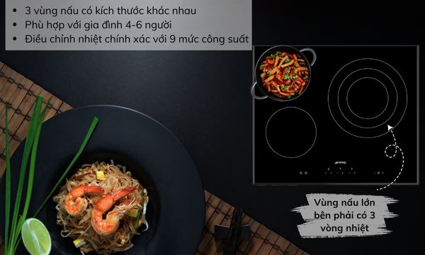 Vùng nấu bếp từ Hafele SE363ETB 536.64.101