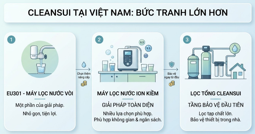EU301 Trong Bức Tranh Lớn Hơn