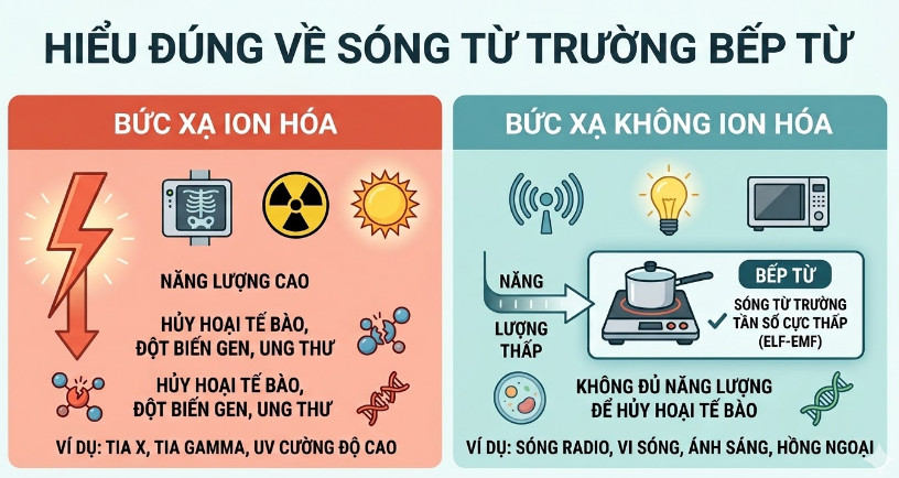bản chất sóng từ trường bếp từ
