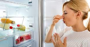 Tại sao cần vệ sinh tủ lạnh?