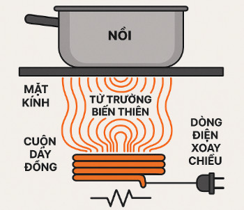 nguyên lý hoạt động của bếp từ