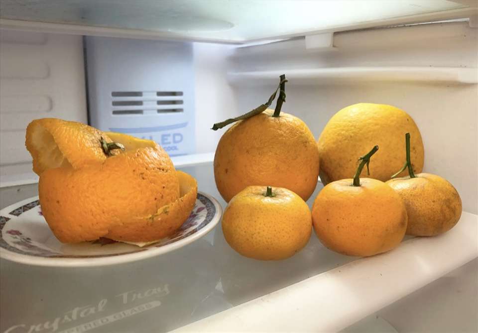 Cách khử mùi hôi tủ lạnh bằng vỏ cam, quýt, bưởi