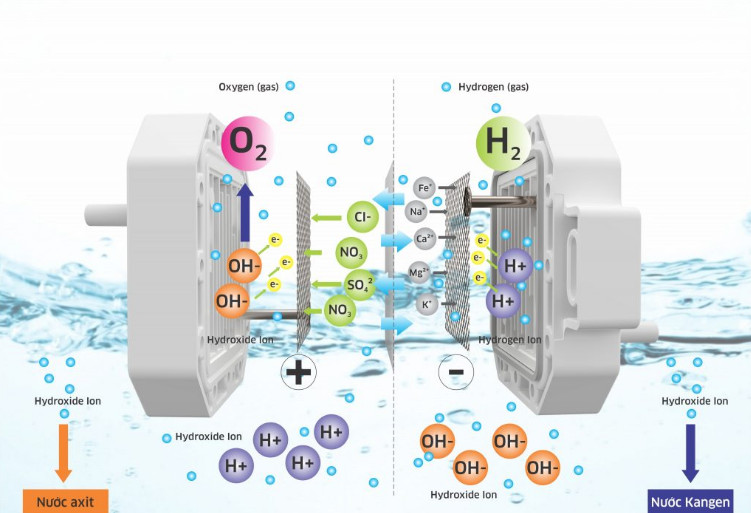 Máy lọc nước ion kiềm