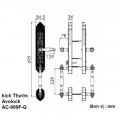 Khóa thông minh Avolock AC-999F-G