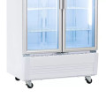 Tủ mát Sanaky Inverter VH8009HP3