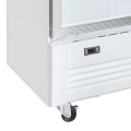 Tủ mát Sanaky VH1009HP