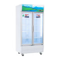 Tủ mát Sanaky Inverter VH1009HP3