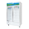 Tủ mát Sanaky VH1209HP