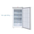 Tủ đông đứng Sanaky VH-160VD 118 lít