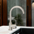 Vòi rửa bát Wasserwerk WK 5 Stainless steel look 700505