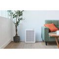 Lắp đặt Máy lọc không khí Coway AP-1019C(W)