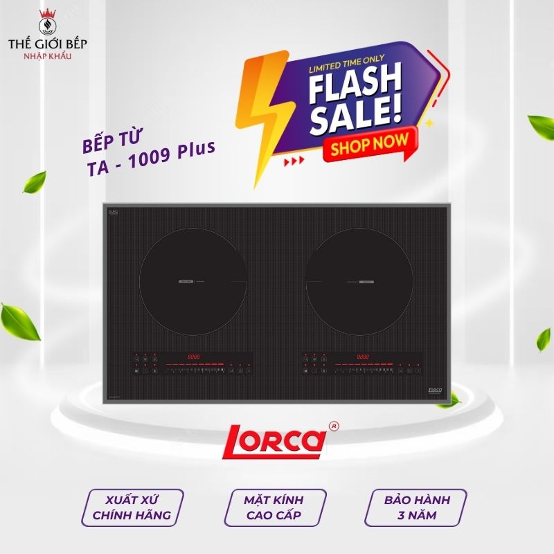 Bếp từ 2 vùng nấu Lorca TA - 1009 Plus