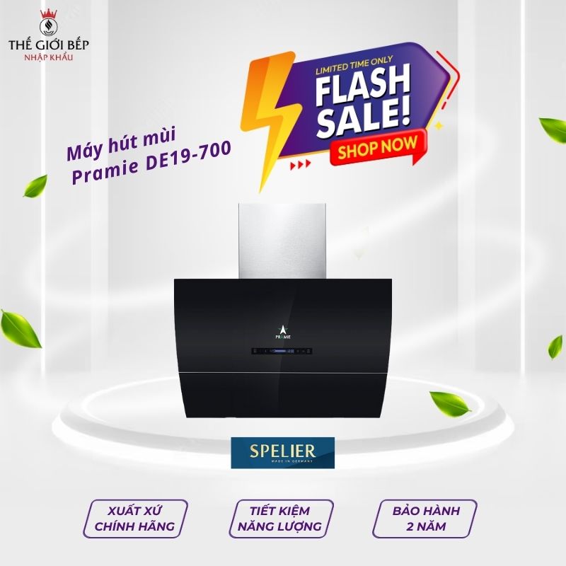 Máy hút mùi áp tường tuần hoàn Pramie DE19-700