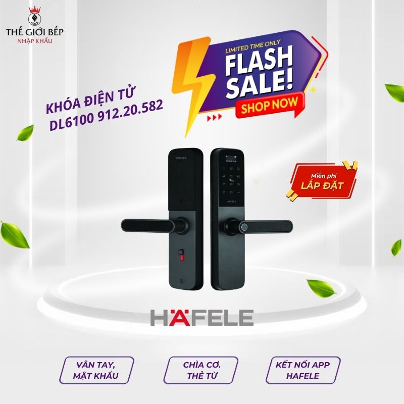 Khóa vân tay Hafele DL6100 912.20.582