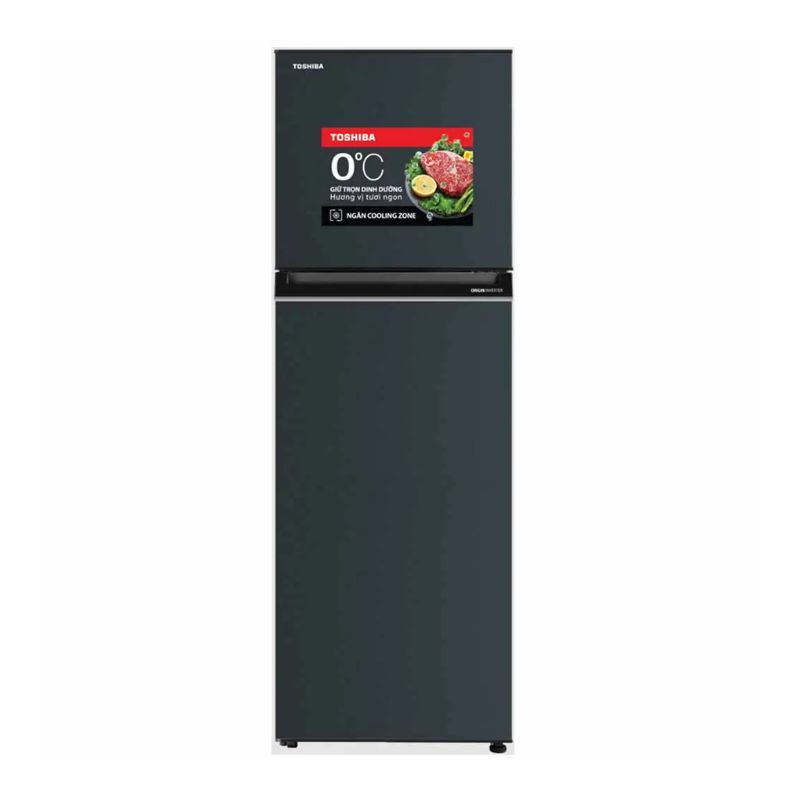 Tủ Lạnh 2 cánh Inverter 253 Lít Toshiba GR-RT329WE-PMV(52)