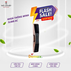 Khóa cửa thông minh tự động Demax SL668 AC