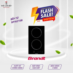 Bếp Domino 2 từ Brandt BPI6210B