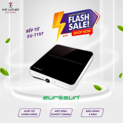 Bếp từ đơn Eurosun EU-T197