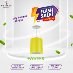 Máy hút mùi treo độc lập Faster TS0735Y
