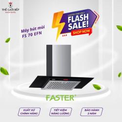 Máy hút mùi Faster FS 70 EFN