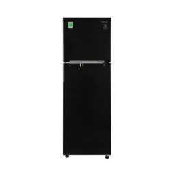 Tủ lạnh Samsung Inverter 256 lít RT25M4032BU/SV