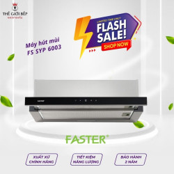 Máy hút khói khử mùi gắn tường Faster FS SYP 6003